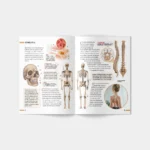 Enciclopedie. Corpul uman (03539) - imagine 4