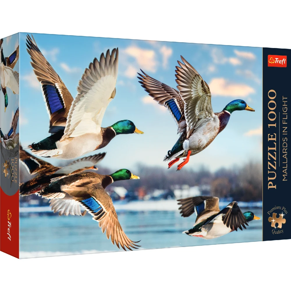 Новый проект (18) Rațe sălbatice în zbor, 1000 elemente Premium Plus (99278) - imagine 1