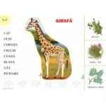 Animale din ținuturile calde și reci (cu foi detașabile) (34287) - imagine 2