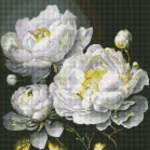 Mozaic cu diamante Frumusețe impecabilă, efect holografic AB, 40x40 cm, Ideyka (AMO7609)
