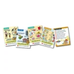 Joc educativ Memorace - Universul banilor, Ludicus Games (006297) - imagine 3